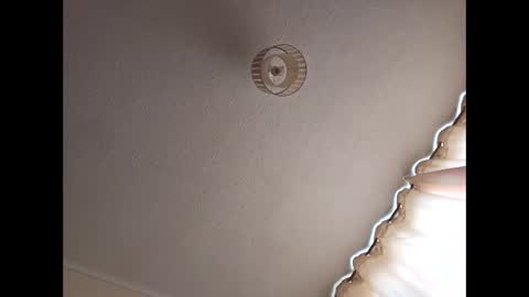 flamazine95 online show from 3, 3, 2025