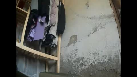 Snapshot of flowers555 chatting on 6, 2, 2025 flowers555 online show from 6, 2, 2025