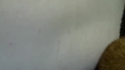 flufferbutt2 online show from 4, 4, 2026