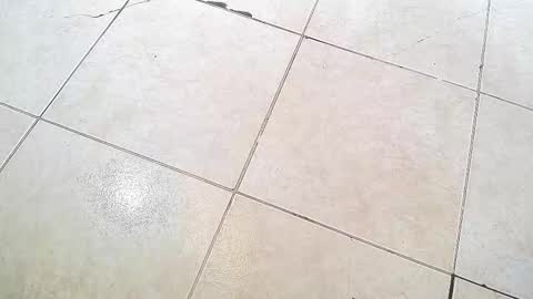 Snapshot of flyckers chatting on 13, 9, 2025 flyckers online show from 13, 9, 2025