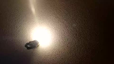 Snapshot of flyyguy69 chatting on 11, 1, 2026 flyyguy69 online show from 11, 1, 2026