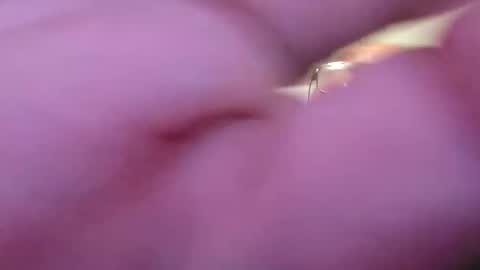 Snapshot of focusfuker chatting on 14, 11, 2025 focusfuker online show from 14, 11, 2025