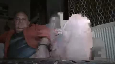 fofodi online show from 28, 11, 2025