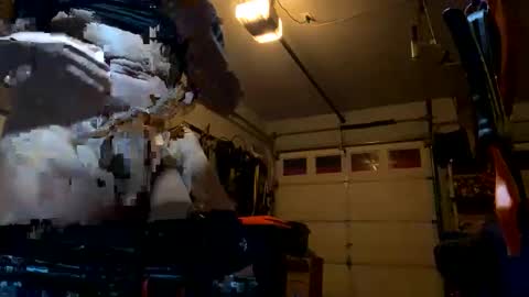 fokai381 online show from 14, 10, 2025