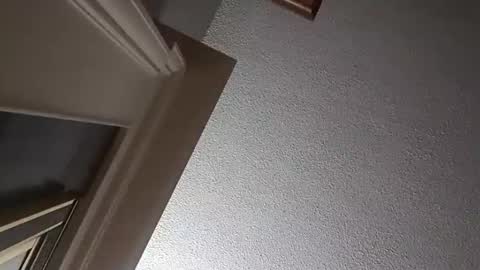 Have fun remembering u online show from 2, 10, 2025