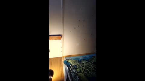 Snapshot of forgottenyeti chatting on 5, 1, 2026 forgottenyeti online show from 5, 1, 2026