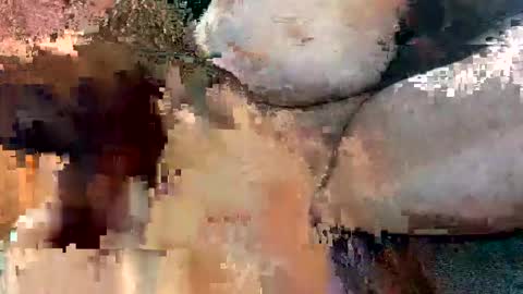 foxhole23 online show from 13, 9, 2025