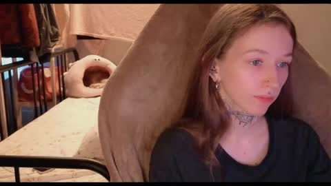 fran_bow online show from 12, 5, 2026
