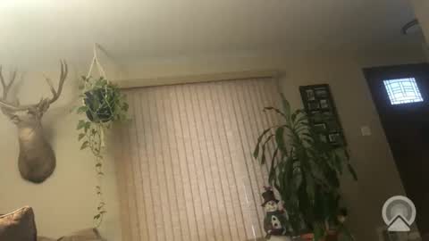 Snapshot of frankdaddy896 chatting on 6, 1, 2026 Frank online show from 6, 1, 2026