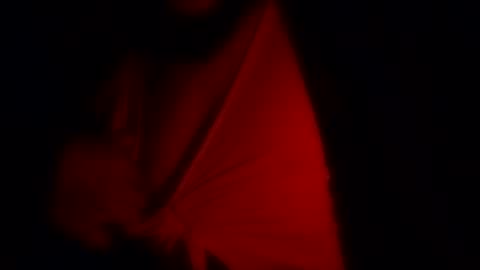 Snapshot of freaky_d48 chatting on 12, 11, 2025 freaky_d48 online show from 12, 11, 2025