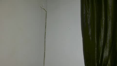 Snapshot of freaky_luna chatting on 3, 4, 2026 luna online show from 3, 4, 2026