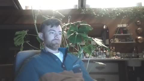 Freddy online show from 15, 1, 2025