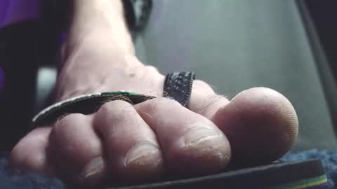 Greedy Fred online show from 20, 2, 2026