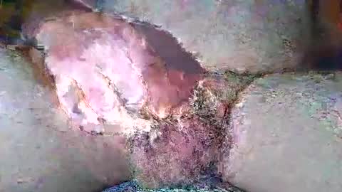 Snapshot of free_amos chatting on 7, 4, 2026 free_amos online show from 7, 4, 2026