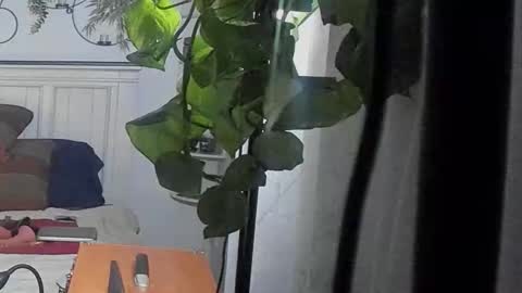 freespirt2 online show from 16, 2, 2026