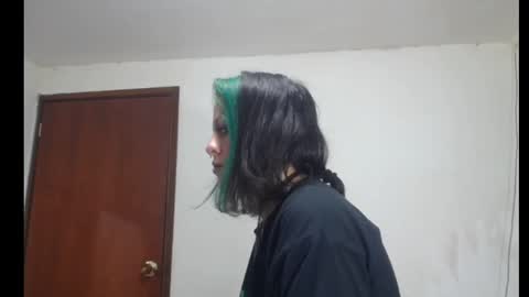 Snapshot of freyaa_sorceress chatting on 27, 1, 2025 freyaa_sorceress online show from 27, 1, 2025