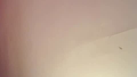 Snapshot of freyjashine_x chatting on 25, 2, 2025 FREYJA LOREN online show from 25, 2, 2025