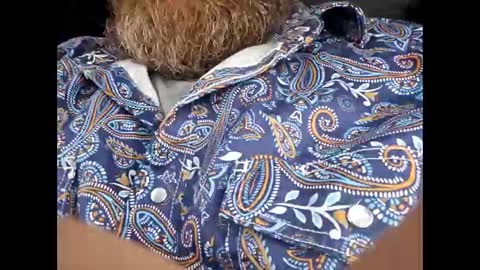 Frickish online show from 9, 1, 2026