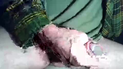 frogswrecking online show from 21, 12, 2025