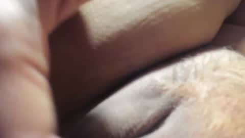 Snapshot of frumcake chatting on 6, 12, 2024 FrumCake online show from 6, 12, 2024