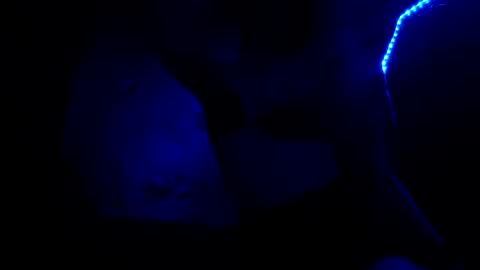 fu338208 online show from 26, 10, 2025