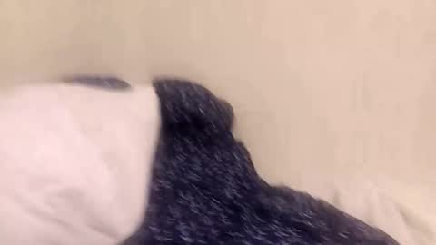 Snapshot of fuckmee12334wq chatting on 9, 3, 2026 fuckmee12334wq online show from 9, 3, 2026