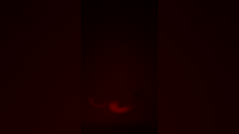 fuckmyassnowww21 online show from 12, 4, 2026