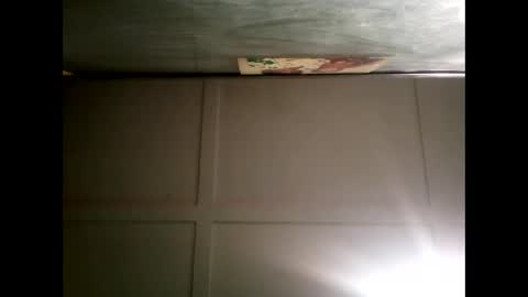 Warwick online show from 2, 12, 2024