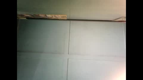 Warwick online show from 6, 12, 2024