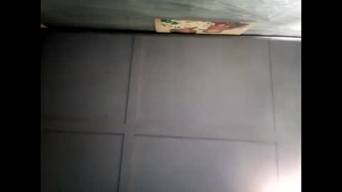 Warwick online show from 7, 12, 2024