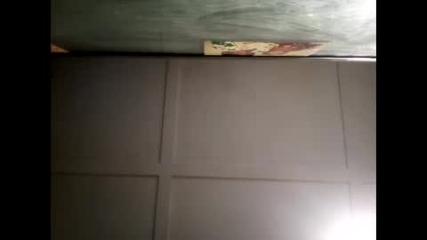 Warwick online show from 8, 12, 2024