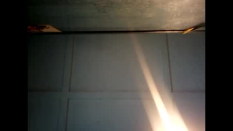 Warwick online show from 9, 12, 2024