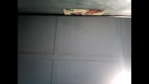 Warwick online show from 11, 12, 2024