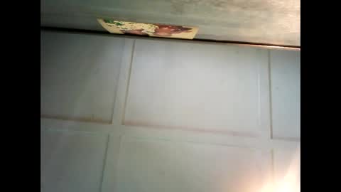 Warwick online show from 12, 12, 2024