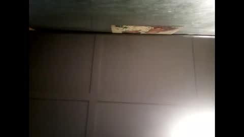 Warwick online show from 17, 12, 2024