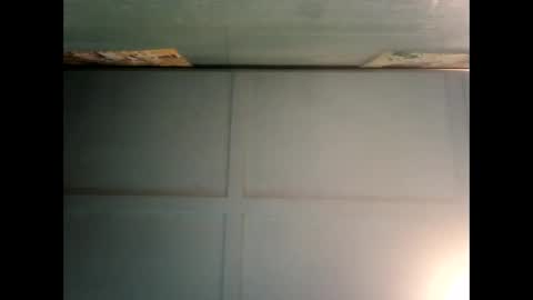 Warwick online show from 19, 12, 2024