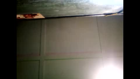 Warwick online show from 24, 12, 2024