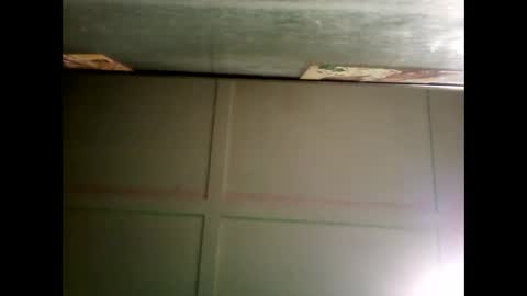 Warwick online show from 24, 12, 2024