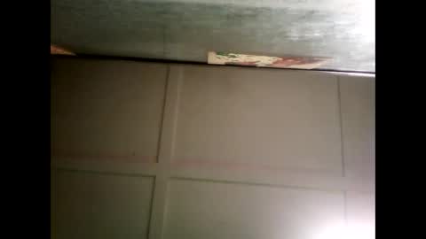 Warwick online show from 26, 12, 2024