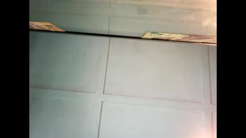 Warwick online show from 27, 12, 2024