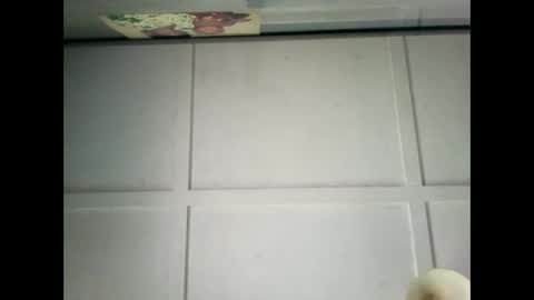 Warwick online show from 29, 12, 2024