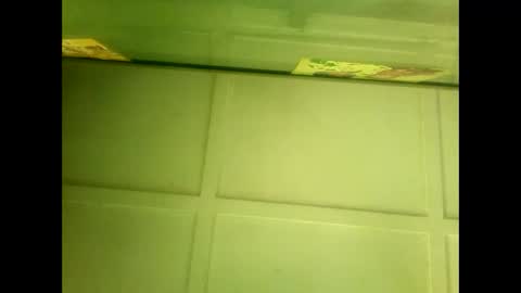 Warwick online show from 7, 1, 2025