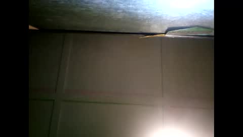 Warwick online show from 11, 1, 2025