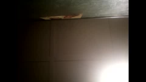 Warwick online show from 16, 1, 2025