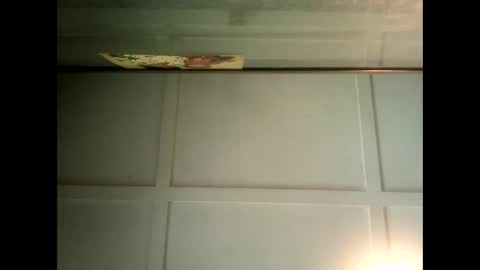 Warwick online show from 31, 1, 2025