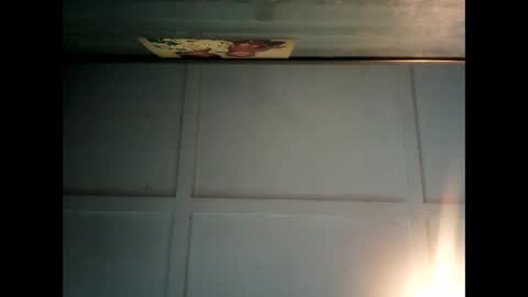 Warwick online show from 3, 2, 2025