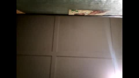 Warwick online show from 10, 2, 2025