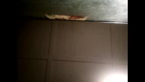 Warwick online show from 13, 2, 2025