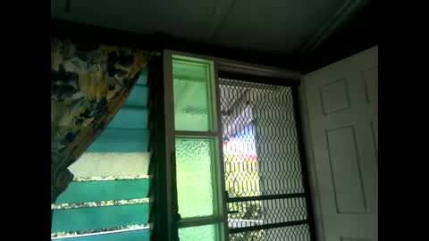 Warwick online show from 17, 2, 2025