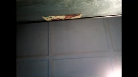 Warwick online show from 22, 2, 2025